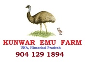 Kunwar Emu Farm and Hatchery